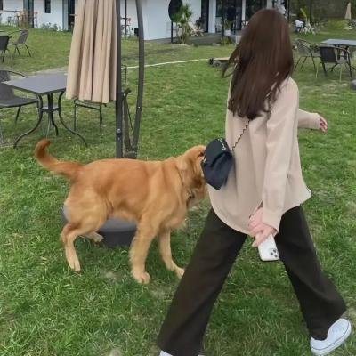 在森林的那边 在线观看